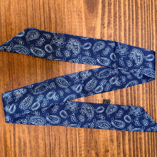 Blue Paisley Twilly