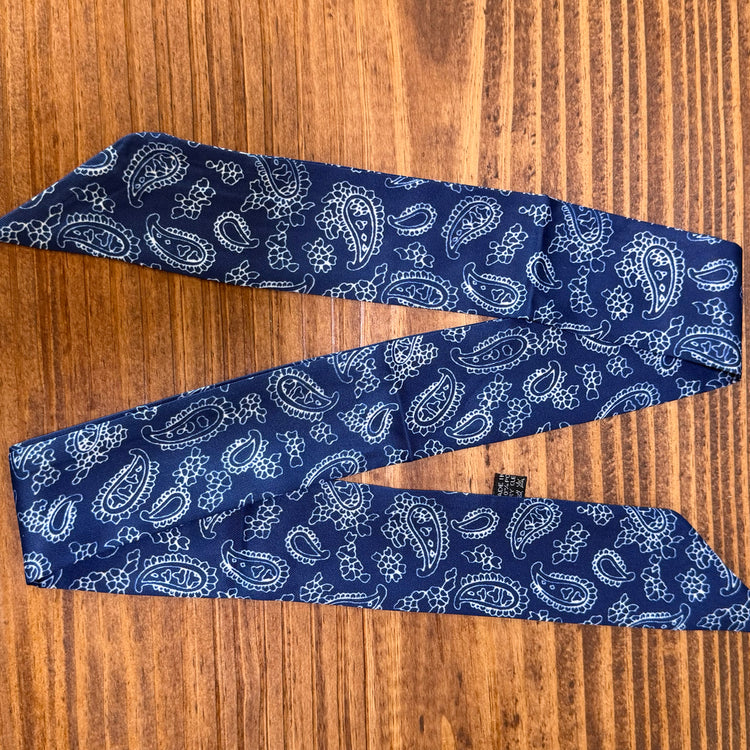 Blue Paisley Twilly