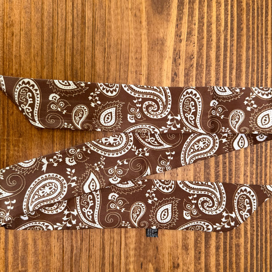 Brown Paisley Twilly