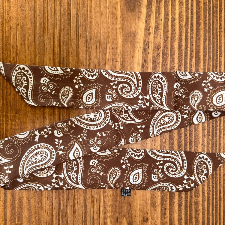 Brown Paisley Twilly