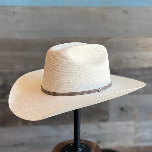 Atwood Marfa Palm
