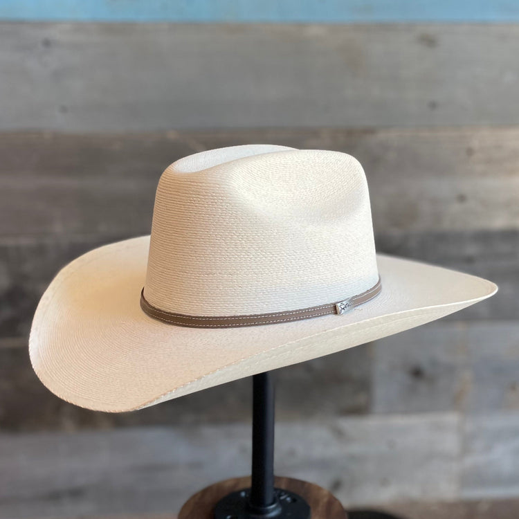 Atwood Marfa Palm