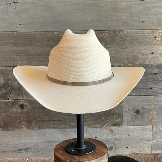 Atwood Marfa Palm