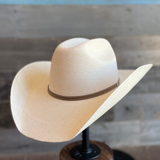 Atwood Hereford Palm