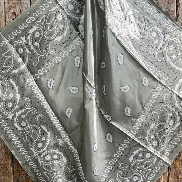 Sage & White Paisley Wild Rag